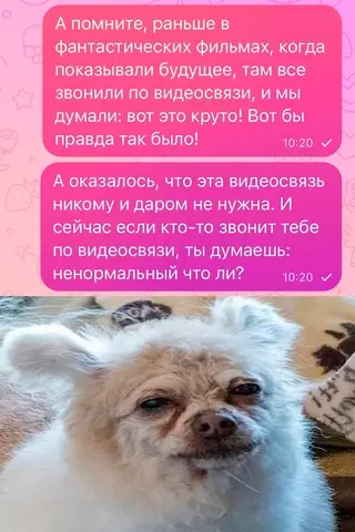 Смешная картинка №685899