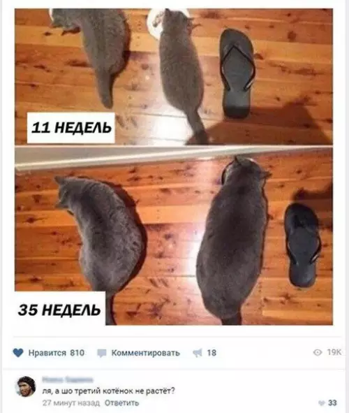 Смешная картинка №272434