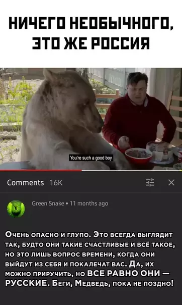Смешная картинка №525472