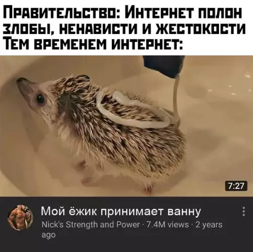 Смешная картинка №414341