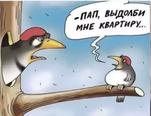 Смешная картинка №720440
