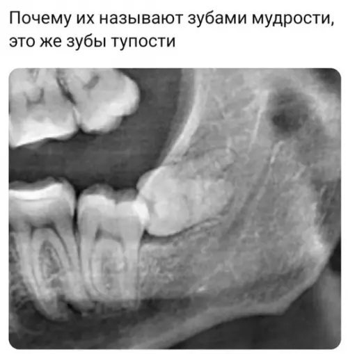 Смешная картинка №755482