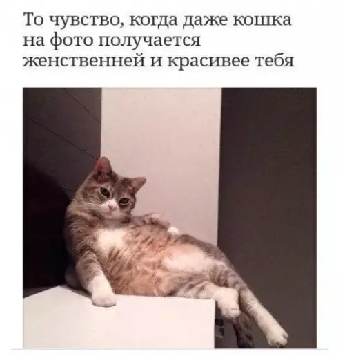 Смешная картинка №298022
