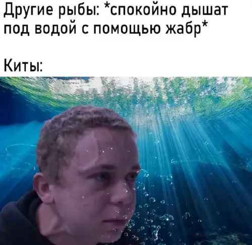 Смешная картинка №664608