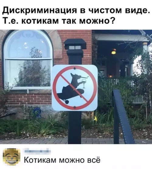 Смешная картинка №345771 #приколы #картинки #мемы ?