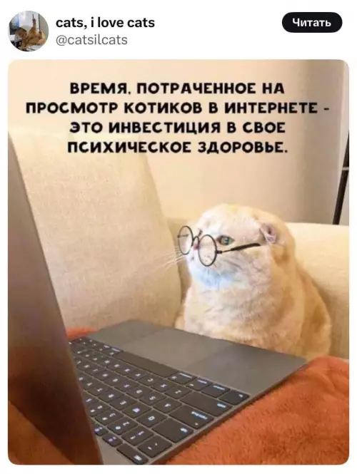 Смешная картинка №781074