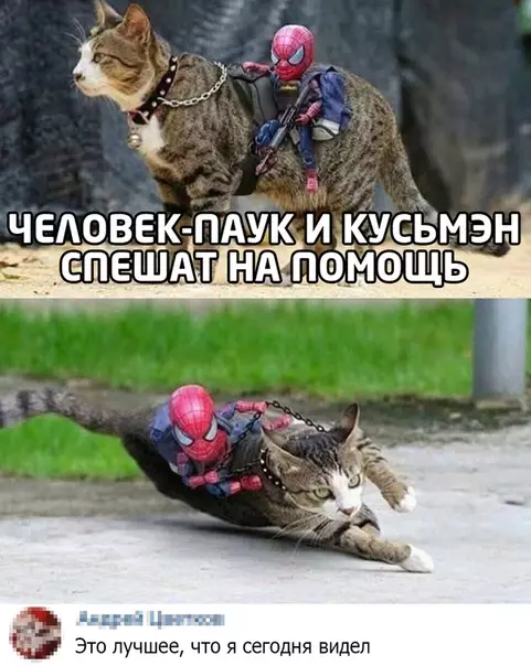 Смешная картинка №509293