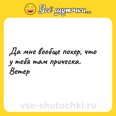 Шутка: Да мне вообще похер, что у тебя там прическа. <br>Ветер