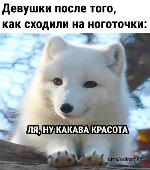 Смешная картинка №672822