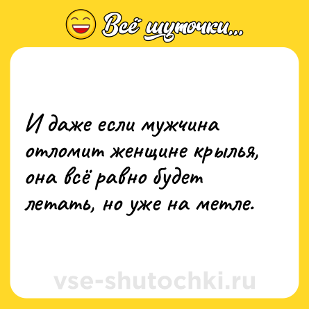 Шутка: И даже если мужчина отломит женщине крылья, она всё равно будет летать, но уже на метле.