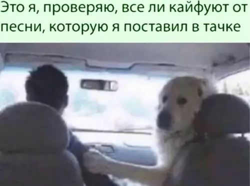 Смешная картинка №505058