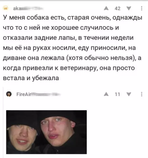 Смешная картинка №275398