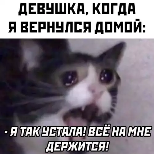 продолжение Смешная картинка №567954