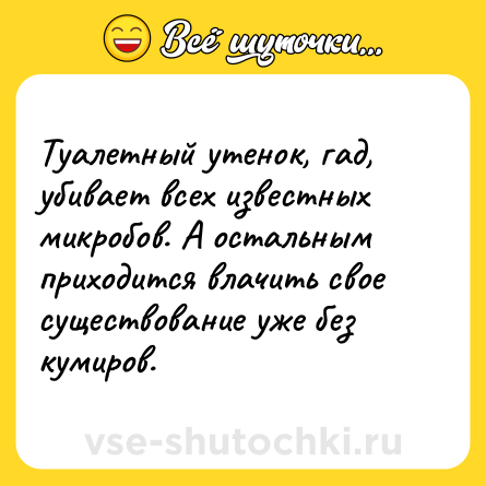 Шутка: Туалетный утенок, гад, убивает всех известных микробов. А остальным приходится влачить свое существование уже без кумиров.