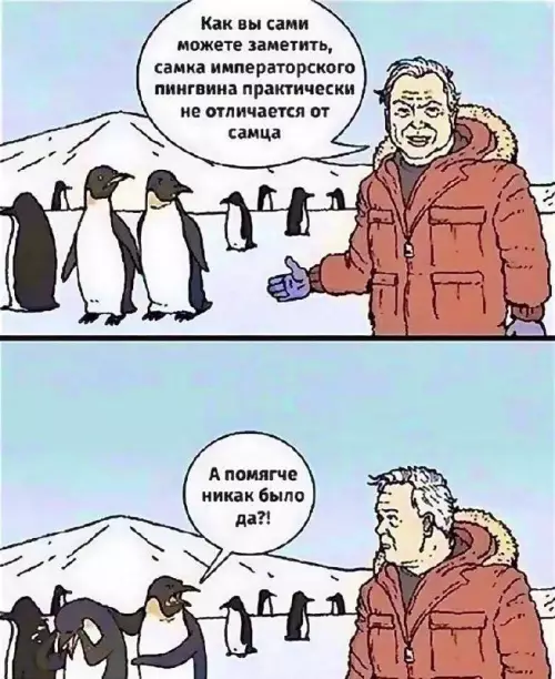 Смешная картинка №662466 Животные 