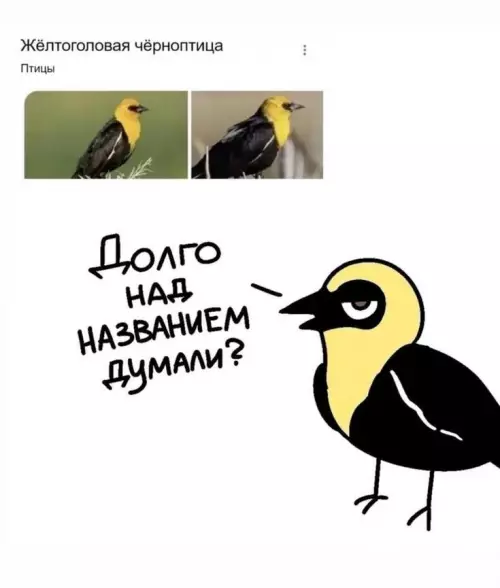 Смешная картинка №798014