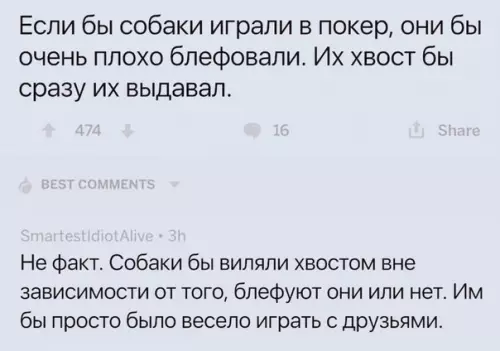 Смешная картинка №516334 Хорошие мальчики не блефуют