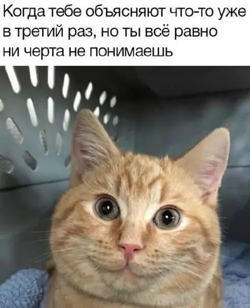 Смешная картинка №676319