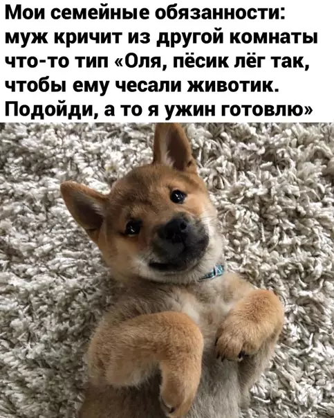 Смешная картинка №549390