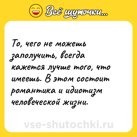 Шутка: То, чего не можешь заполучить, всегда кажется лучше того, что имеешь. В этом состоит романтика и идиотизм человеческой жизни.