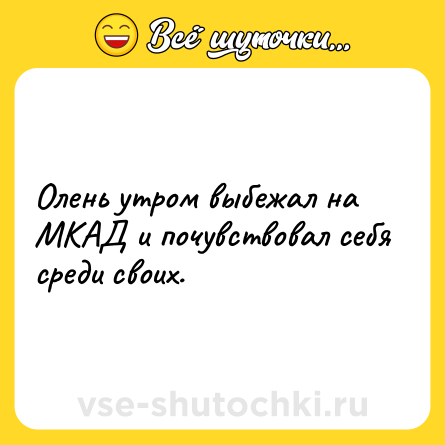 Шутка: Олень утром выбежал на МКАД и почувствовал себя среди своих.
