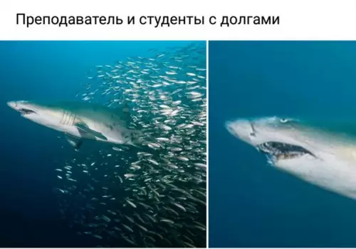 Смешная картинка №258152