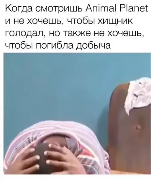 Смешная картинка №243157