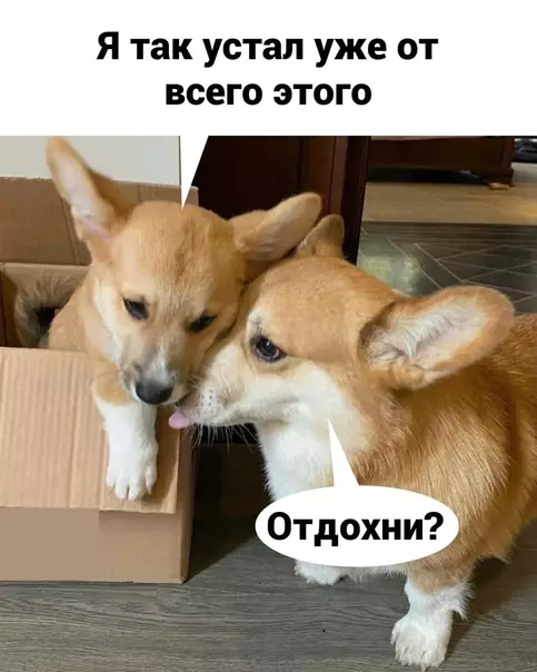 Смешная картинка №593794 Уж и пожалoвaтьcя нeльзя