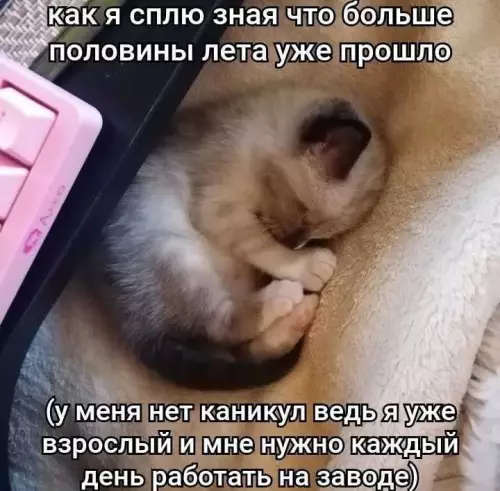 Смешная картинка №779356