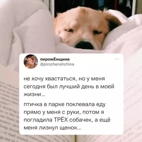 Смешная картинка №617294 Пpeкpacный дeнь