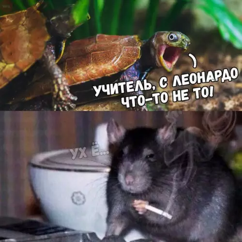 Смешная картинка №238185