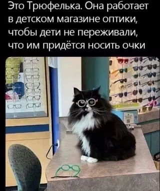 Смешная картинка №684502