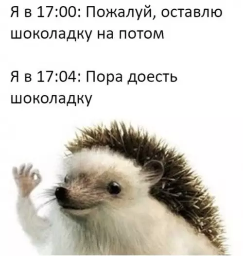 Смешная картинка №494260 Слишком правдиво