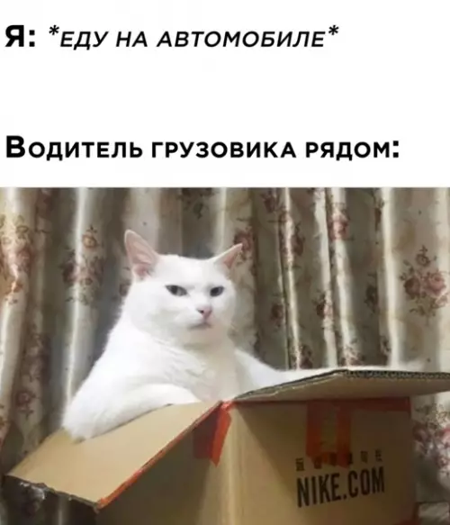 Смешная картинка №550488