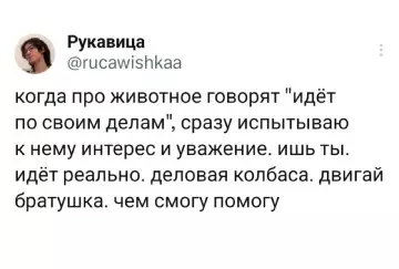 Смешная картинка №788075 100% понимания