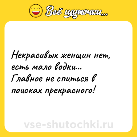 Шутка: Некрасивых женщин нет, есть мало водки... Главное не спиться в поисках прекрасного!