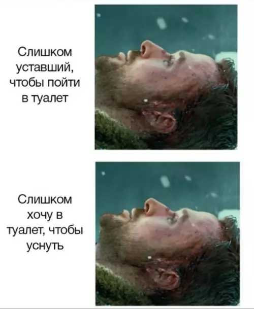 Смешная картинка №746159 Замкнутый круг