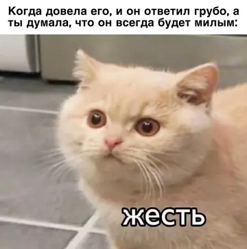 Смешная картинка №724307