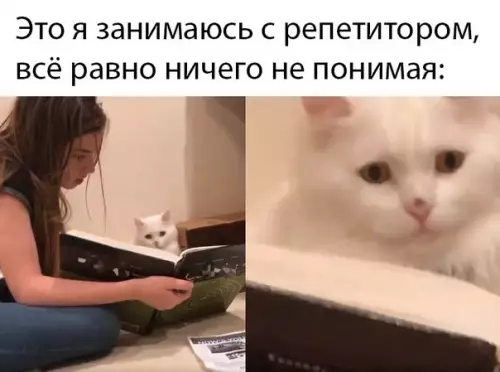 Смешная картинка №473023