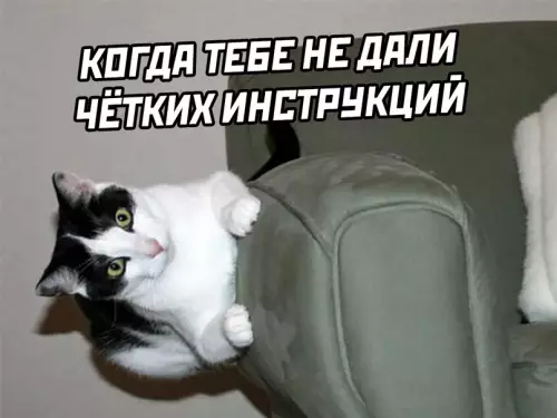 продолжение Смешная картинка №610627