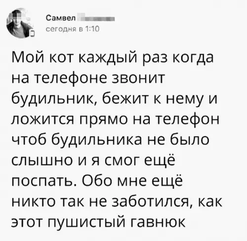 Смешная картинка №268583