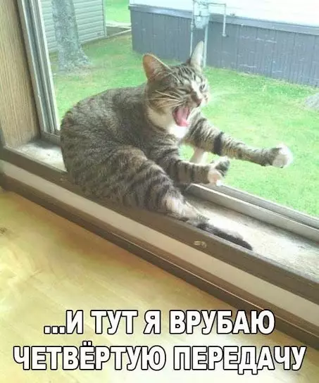 Смешная картинка №302957