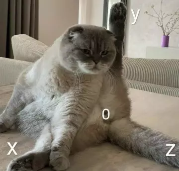 Кот-геометр или высшая математика 🐈‍⬛📐 - X y O Z