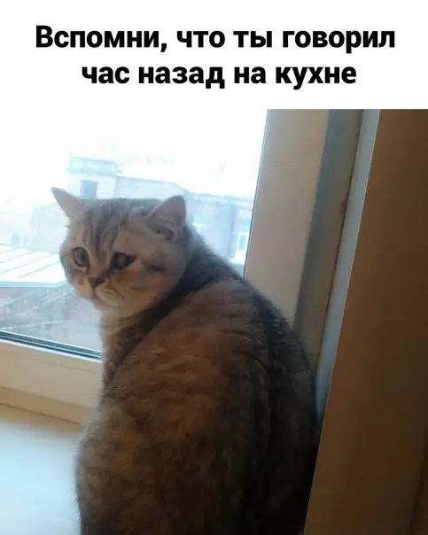 продолжение Смешная картинка №566821