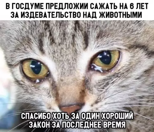 Смешная картинка №307732