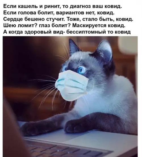 Смешная картинка №531934 Стишок