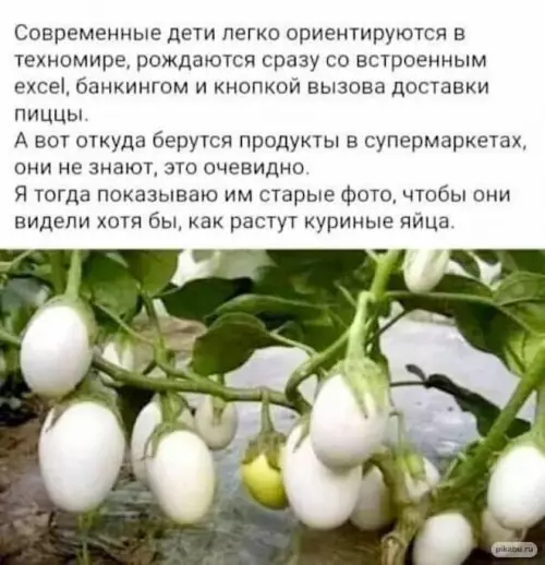 Смешная картинка №773196