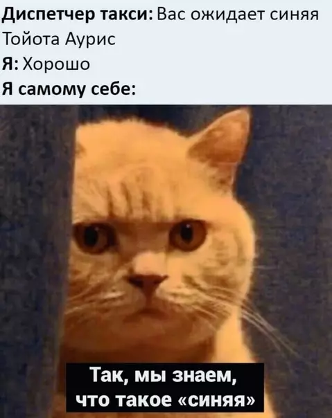 Смешная картинка №507034 Это про меня