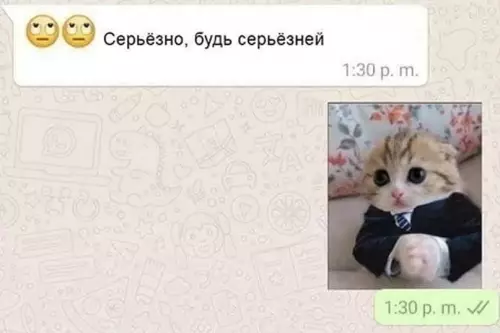 продолжение Смешная картинка №632069 Kaк выглядит oбщeниe co мнoй