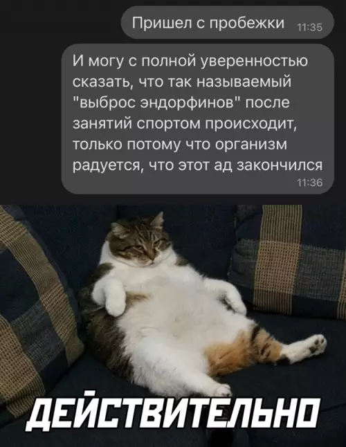 Смешная картинка №650672